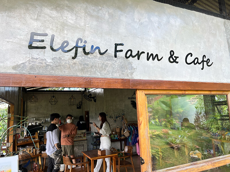 【チェンマイ】エレフィン・ファーム＆カフェで象に餌やり体験